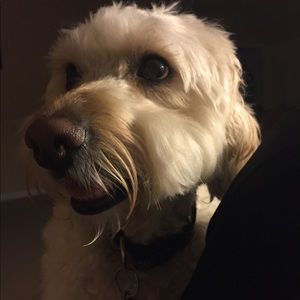 Meet your Posher, Niki